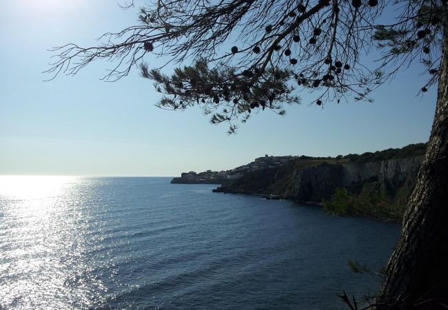 Casa en L'Escala - MONTGO PARK-3-dormitorios Casa en L'Escala - MONTGO PARK-3-dormitorios