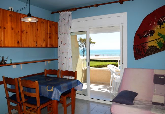 Estudio en Estartit - ARGONAVIS 206 Estudio en Estartit - ARGONAVIS 206