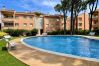 Apartamento en Pals - PUIG SA GUILLA 2D DUPLEX Apartamento en Pals - PUIG SA GUILLA 2D DUPLEX