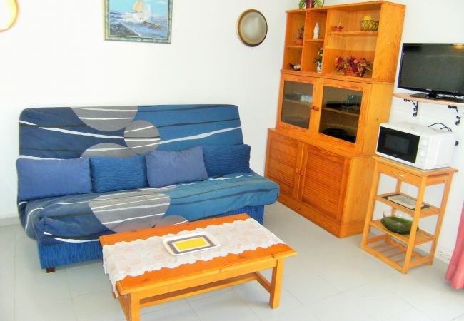 Estudio en Estartit - ARGONAVIS 117 Estudio en Estartit - ARGONAVIS 117