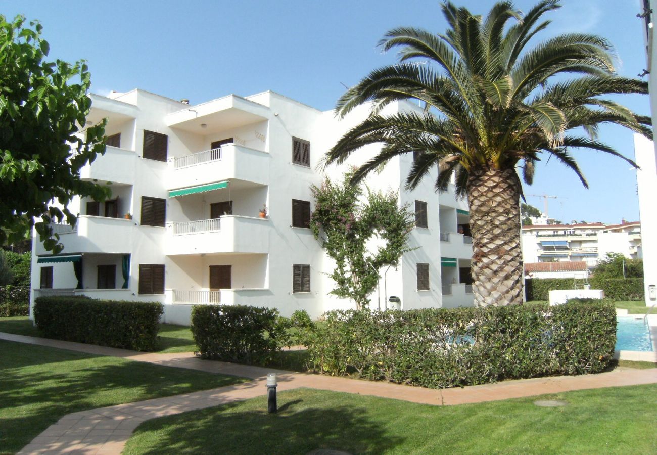 Apartamento en L'Escala - APARTAMENTOS CALA MONTGO 2D