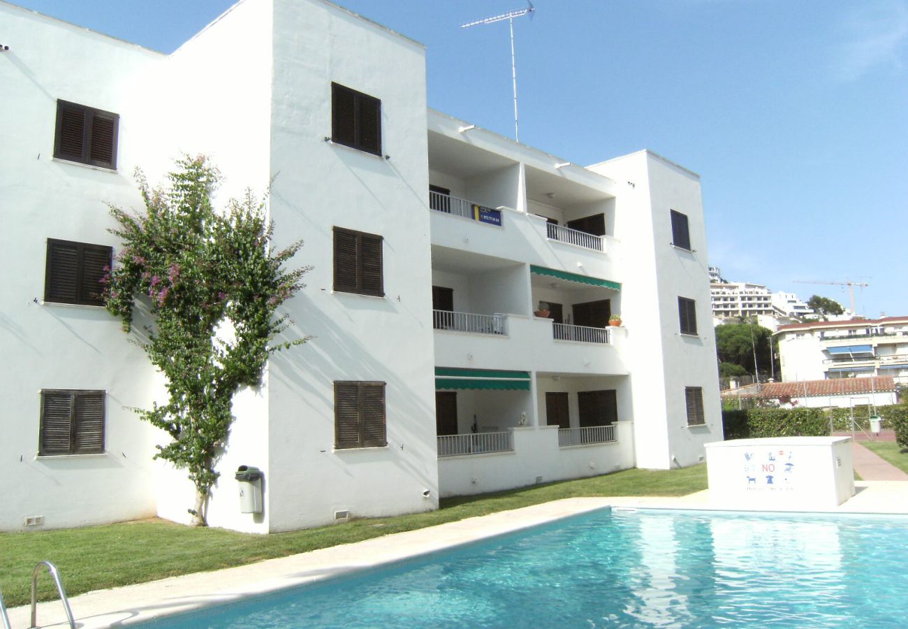 Apartamento en L'Escala - APARTAMENTOS CALA MONTGO 2D