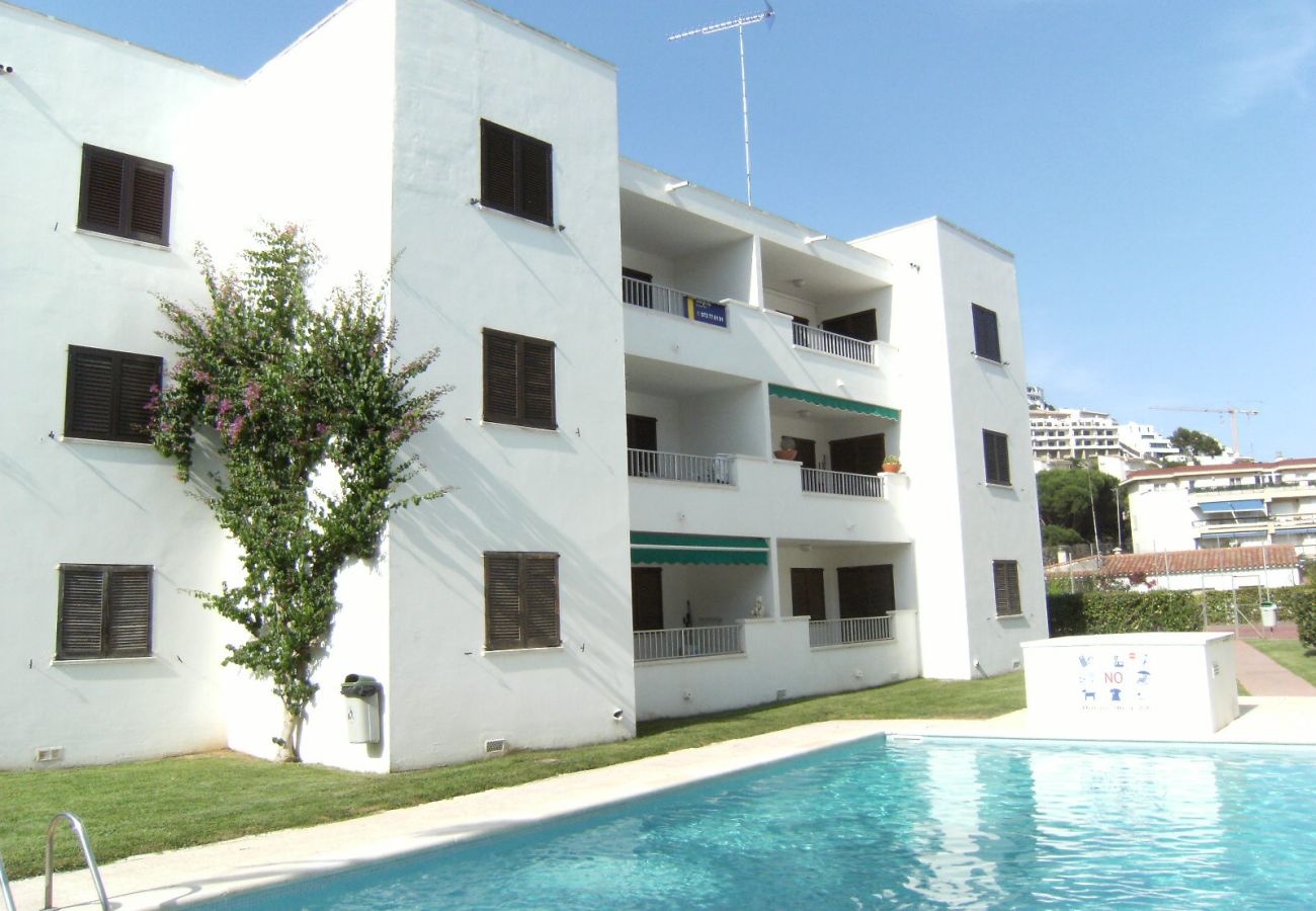 Apartamento en L'Escala - APARTAMENTOS CALA MONTGO 33