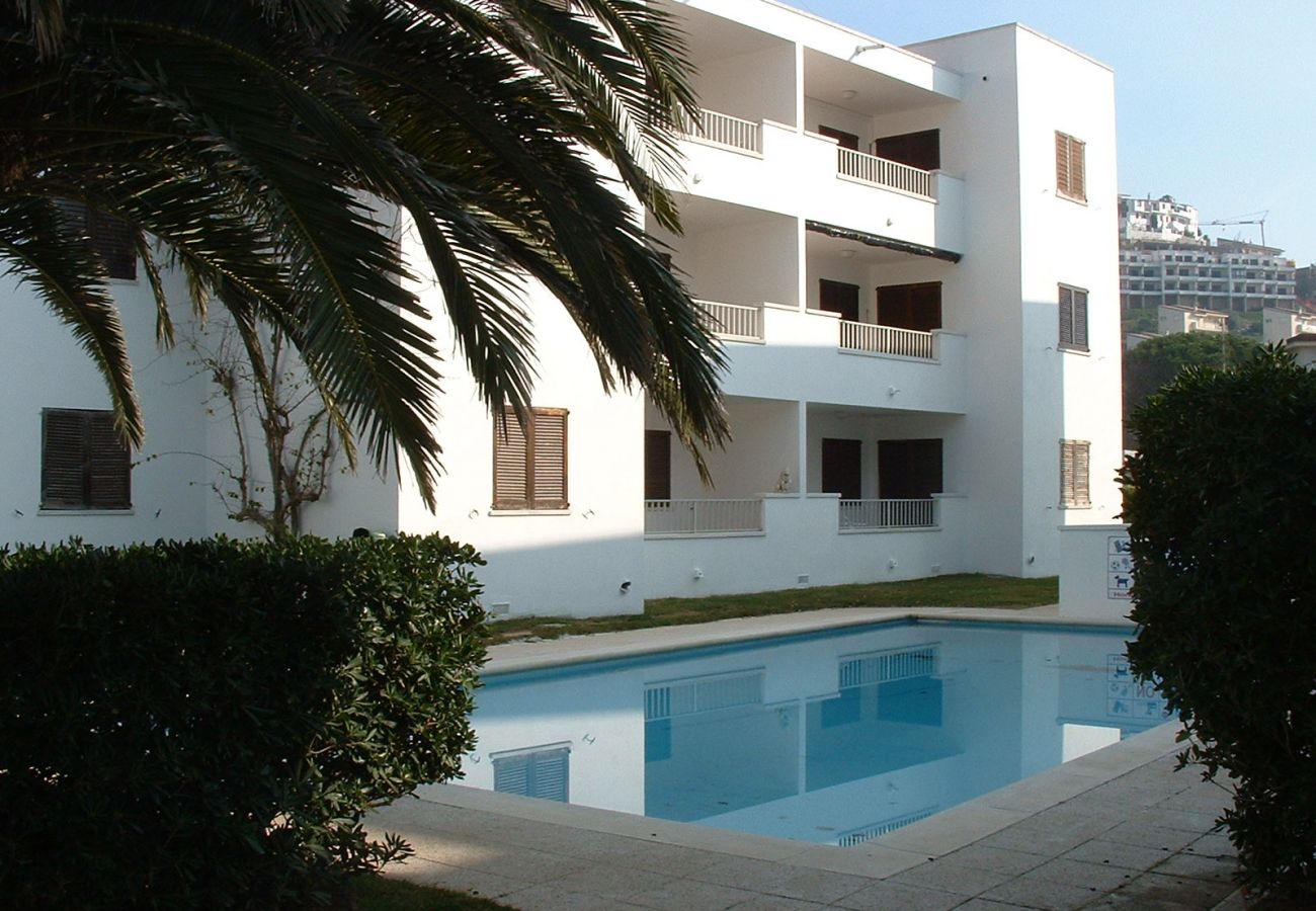 Apartamento en L'Escala - APARTAMENTOS CALA MONTGO 2D