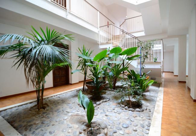 Apartamento en Estartit - JARDINS DEL MAR 64 Apartamento en Estartit - JARDINS DEL MAR 64
