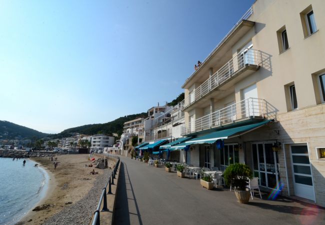 Apartamento en Estartit - TREPUTXELL 1D 2-2 Apartamento en Estartit - TREPUTXELL 1D 2-2