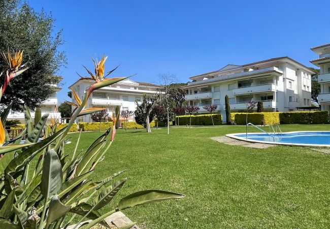 Apartamento en Pals - GREEN MAR A 302 Apartamento en Pals - GREEN MAR A 302