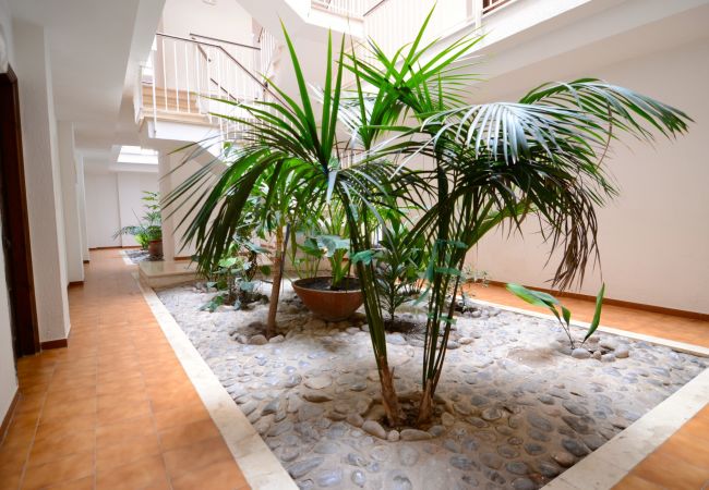 Apartamento en Estartit - JARDINS DEL MAR 006 Apartamento en Estartit - JARDINS DEL MAR 006