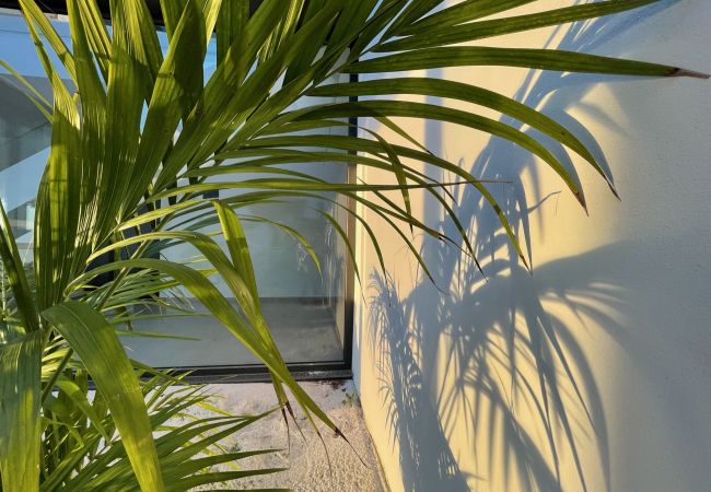 Villa en Torroella de Montgri - VILLA PINELL Villa en Torroella de Montgri - VILLA PINELL