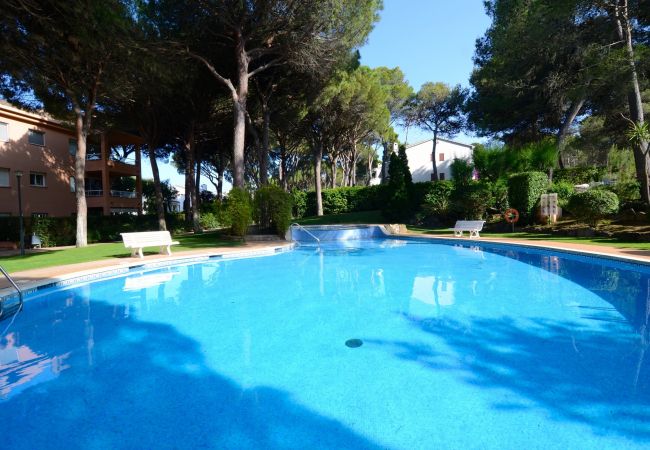 Apartamento en Pals - PUIG SA GUILLA I C BXOS.2 Apartamento en Pals - PUIG SA GUILLA I C BXOS.2