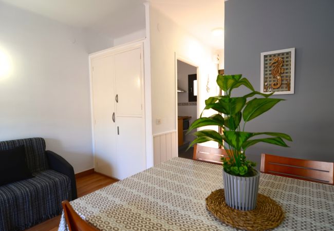 Apartamento en Estartit - ELS PINS ESTARTIT CENTRE Apartamento en Estartit - ELS PINS ESTARTIT CENTRE