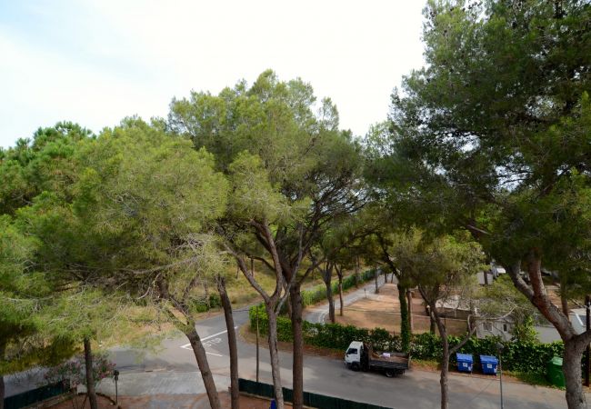 Apartamento en Pals - BOSMAR 3G Apartamento en Pals - BOSMAR 3G
