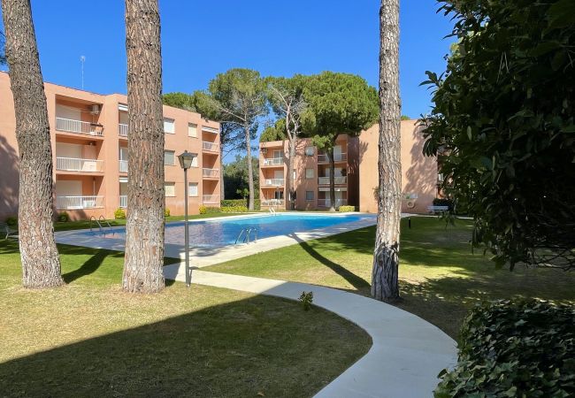 Estudio en Pals - ESTUDI SWING Estudio en Pals - ESTUDI SWING