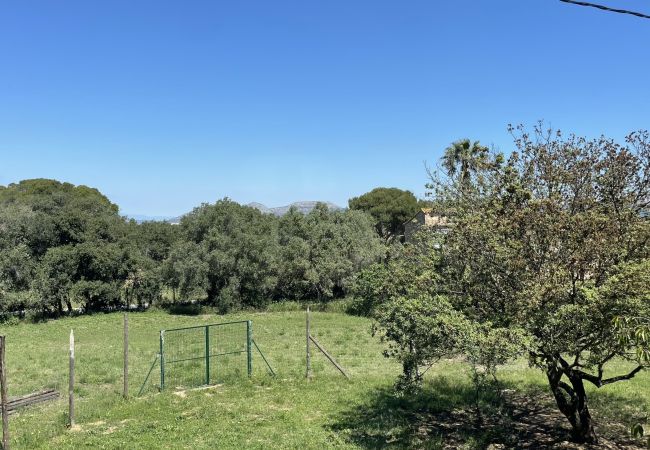 Apartamento en Pals - MAS PIGEM B Apartamento en Pals - MAS PIGEM B