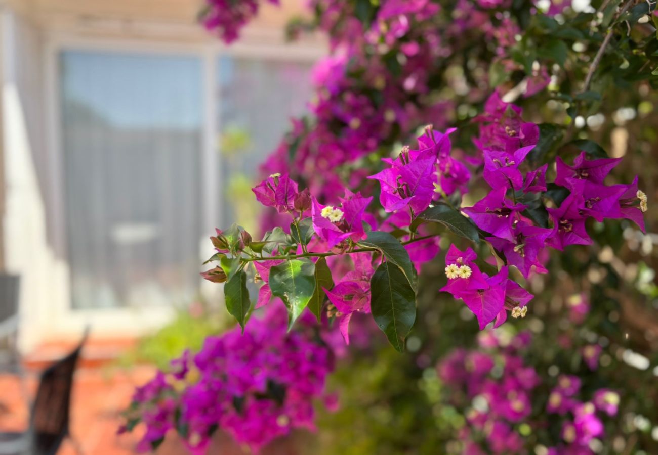Casa adosada en Torroella de Montgri - CASA EVA - MAS PINELL