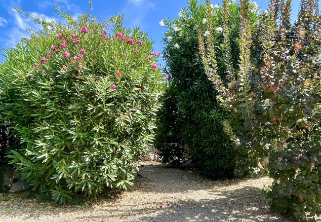 Casa en Estartit - VILLA DULCE VIDA Casa en Estartit - VILLA DULCE VIDA