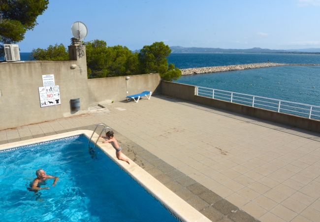 Apartament en Estartit - TREPUTXELL 2D (4/6)- 6 Apartament en Estartit - TREPUTXELL 2D (4/6)- 6