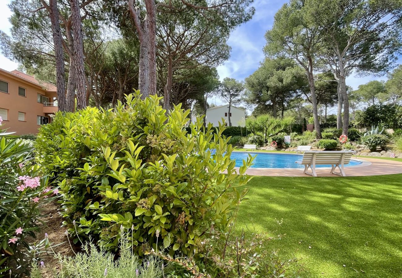 Apartament en Pals - PUIG SA GUILLA 2D DUPLEX