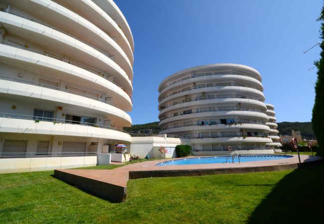 Estudi en Estartit - MEDES PARK I 5-1 Estudi en Estartit - MEDES PARK I 5-1