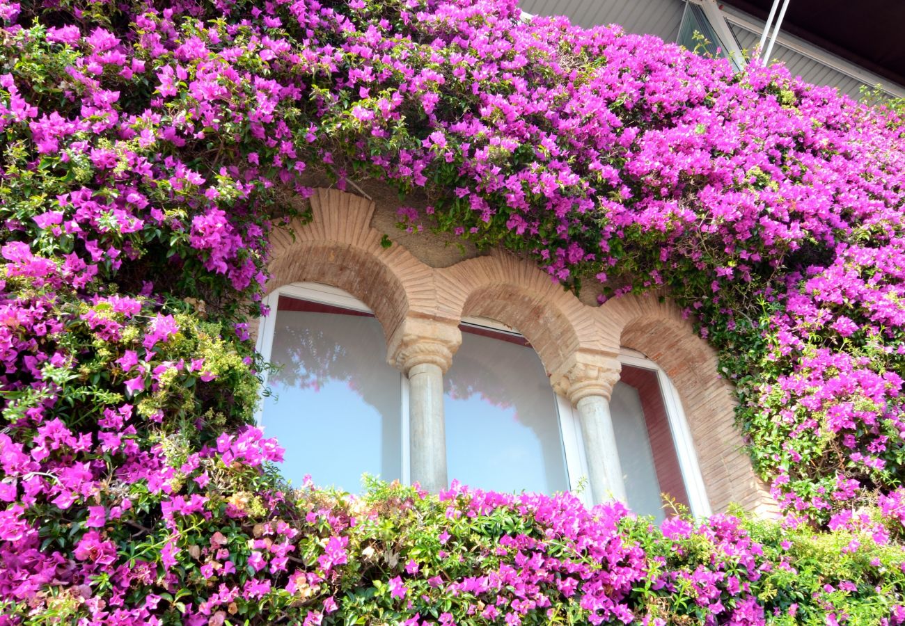 Apartament en Estartit - NAUTIC 2D 1-4 Apartament en Estartit - NAUTIC 2D 1-4