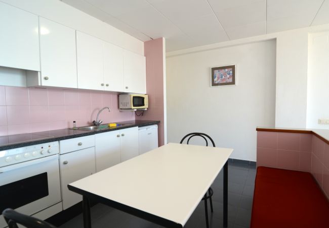 Estudi en Estartit - NAUTIC ESTUDI BX-3 Estudi en Estartit - NAUTIC ESTUDI BX-3