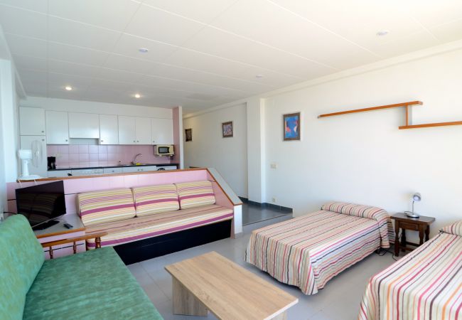 Estudi en Estartit - NAUTIC ESTUDI BX-3 Estudi en Estartit - NAUTIC ESTUDI BX-3