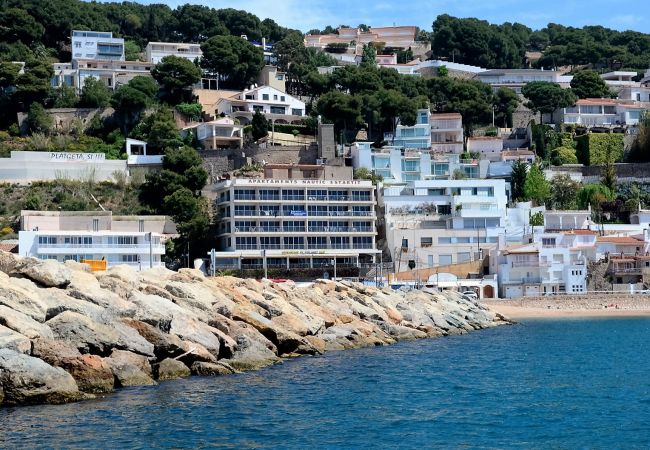 Estudi en Estartit - NAUTIC ESTUDI BX-4 Estudi en Estartit - NAUTIC ESTUDI BX-4