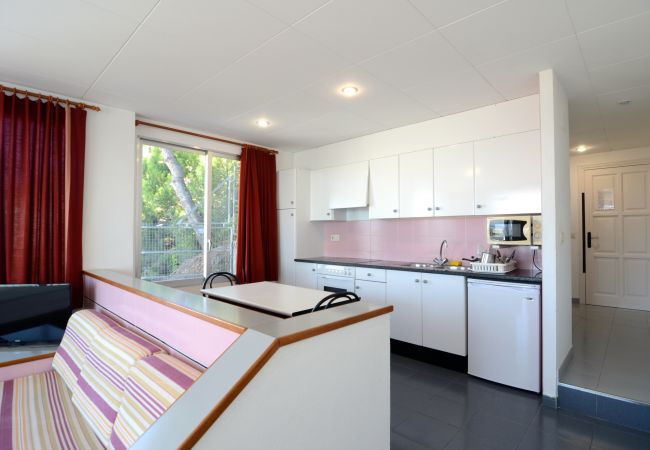 Estudi en Estartit - NAUTIC ESTUDI BX-4 Estudi en Estartit - NAUTIC ESTUDI BX-4