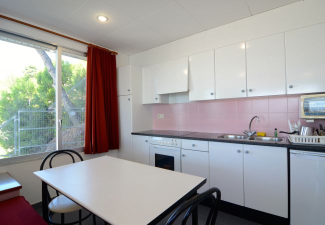 Estudi en Estartit - NAUTIC ESTUDI BX-4 Estudi en Estartit - NAUTIC ESTUDI BX-4