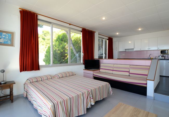 Estudi en Estartit - NAUTIC ESTUDI BX-4 Estudi en Estartit - NAUTIC ESTUDI BX-4