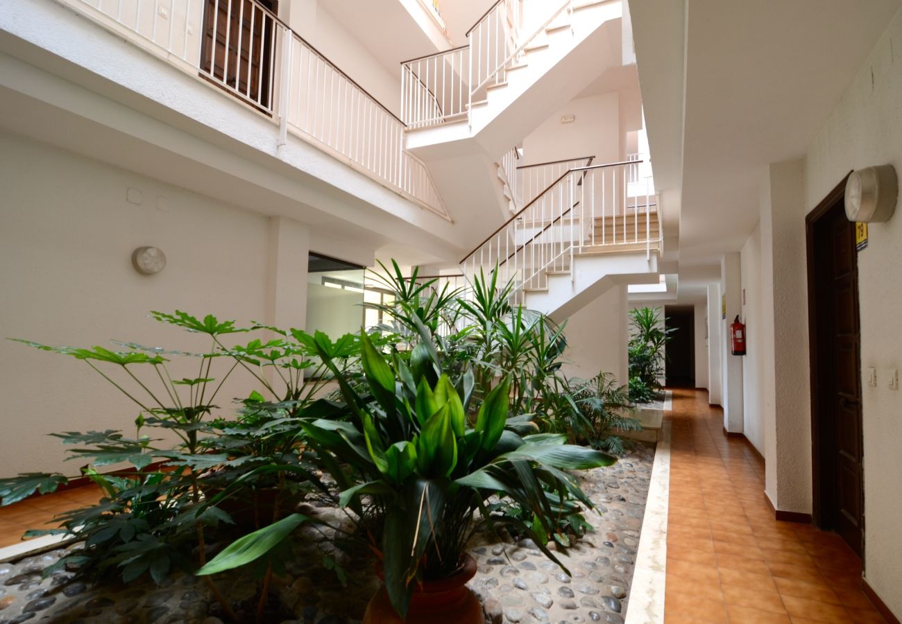 Apartament en Estartit - JARDINS DEL MAR 036