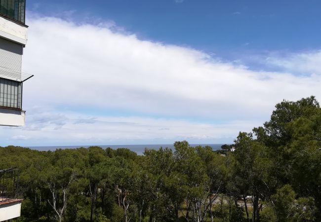 Apartament en Pals - BOSMAR BOSC 5-A Apartament en Pals - BOSMAR BOSC 5-A