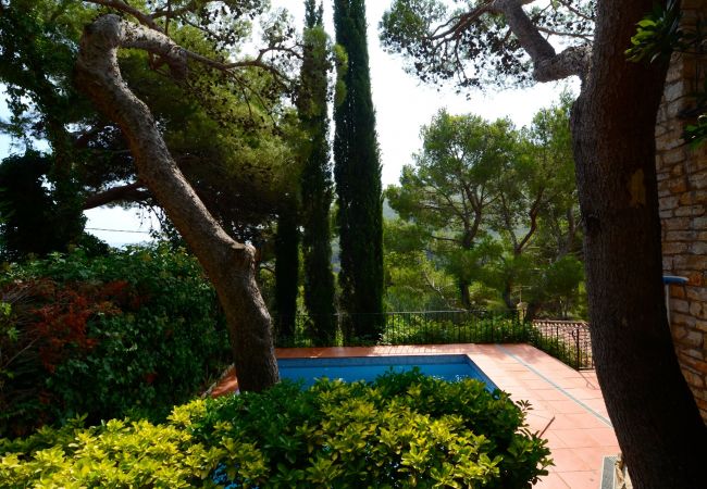 Vil.la en Begur - PIC DE L'OCELL Vil.la en Begur - PIC DE L'OCELL