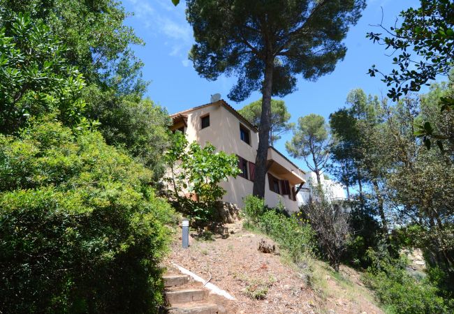 Casa en Pals - SA PUNTA 60 Casa en Pals - SA PUNTA 60