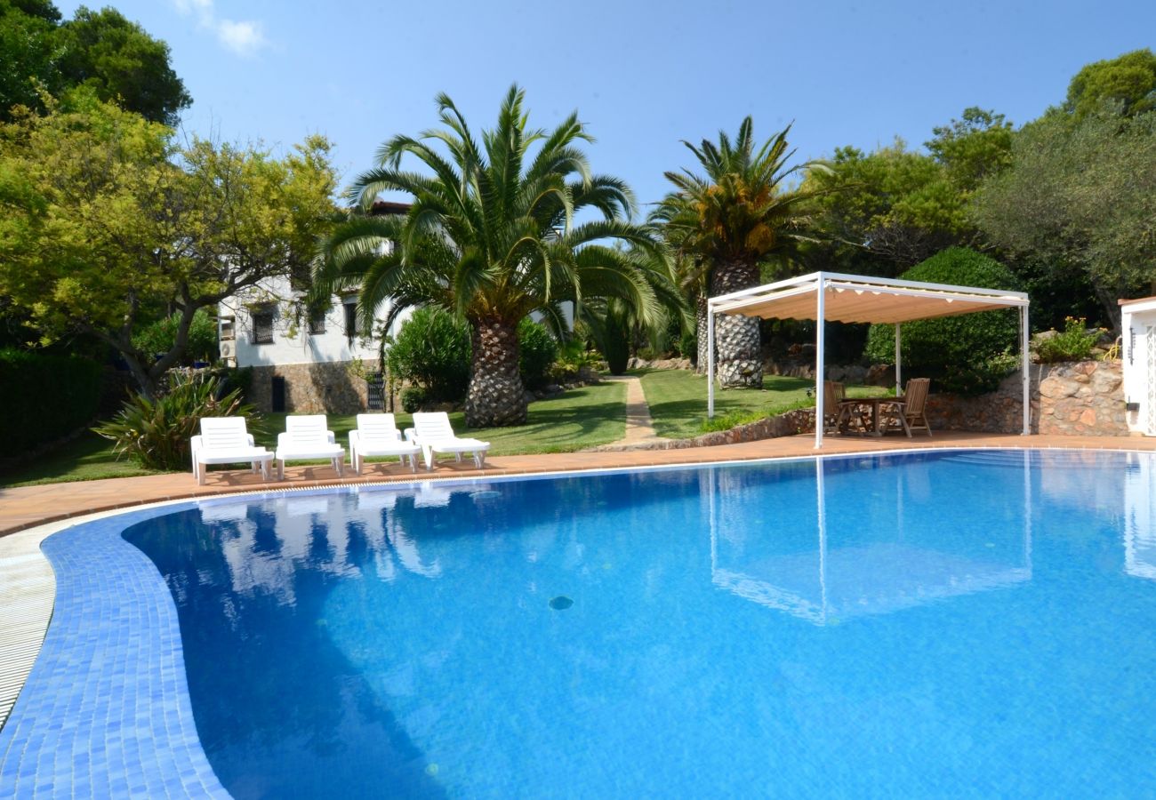 Apartament en Estartit - APARTAMENTO VOLENDAM - PLANTA BAIXA AMB PISCINA PRIVADA