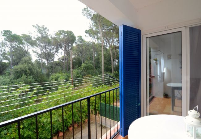 Apartament en Pals - Bosmar 1C Apartament en Pals - Bosmar 1C