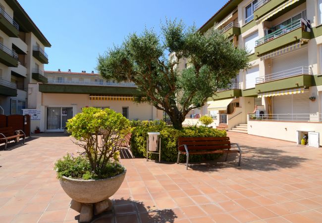 Apartament en Estartit - OMEGA 5 1-D