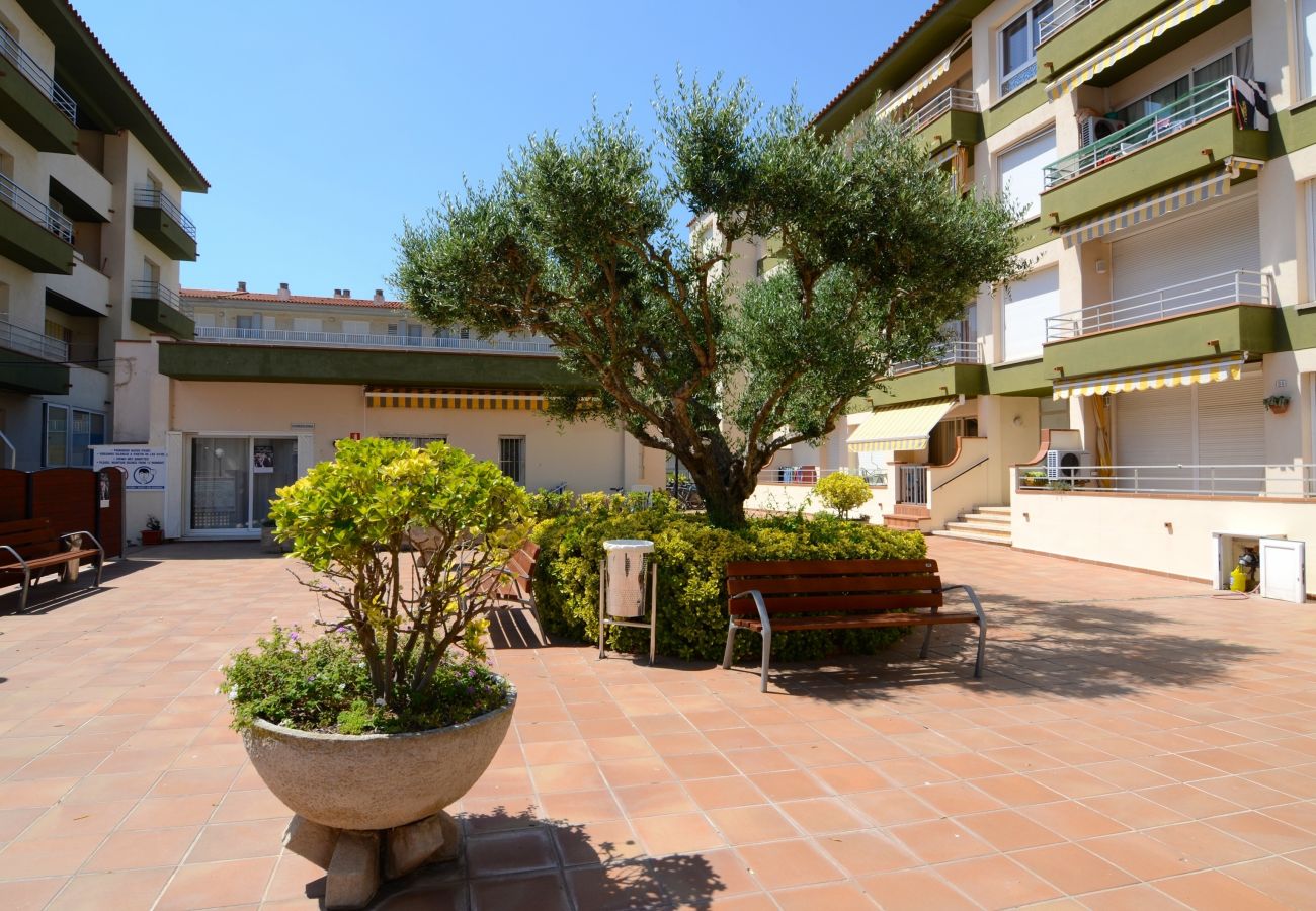 Apartament en Estartit - OMEGA 4 2-C