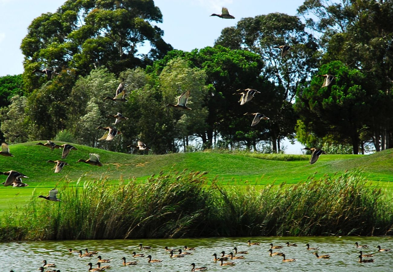 Apartament en Gualta - RESIDENCIAL GOLF 30 2-1