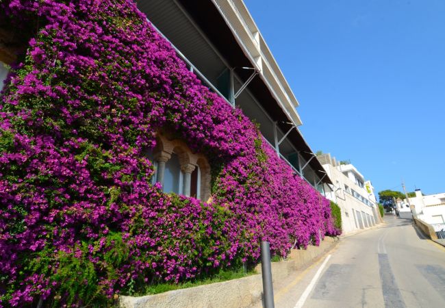 Ferienwohnung in Estartit - NAUTIC EXTERIOR