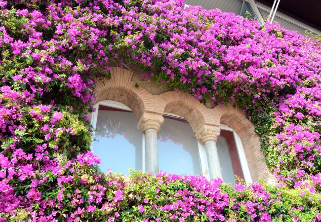 Ferienwohnung in Estartit - NAUTIC 2D 3-4 Ferienwohnung in Estartit - NAUTIC 2D 3-4