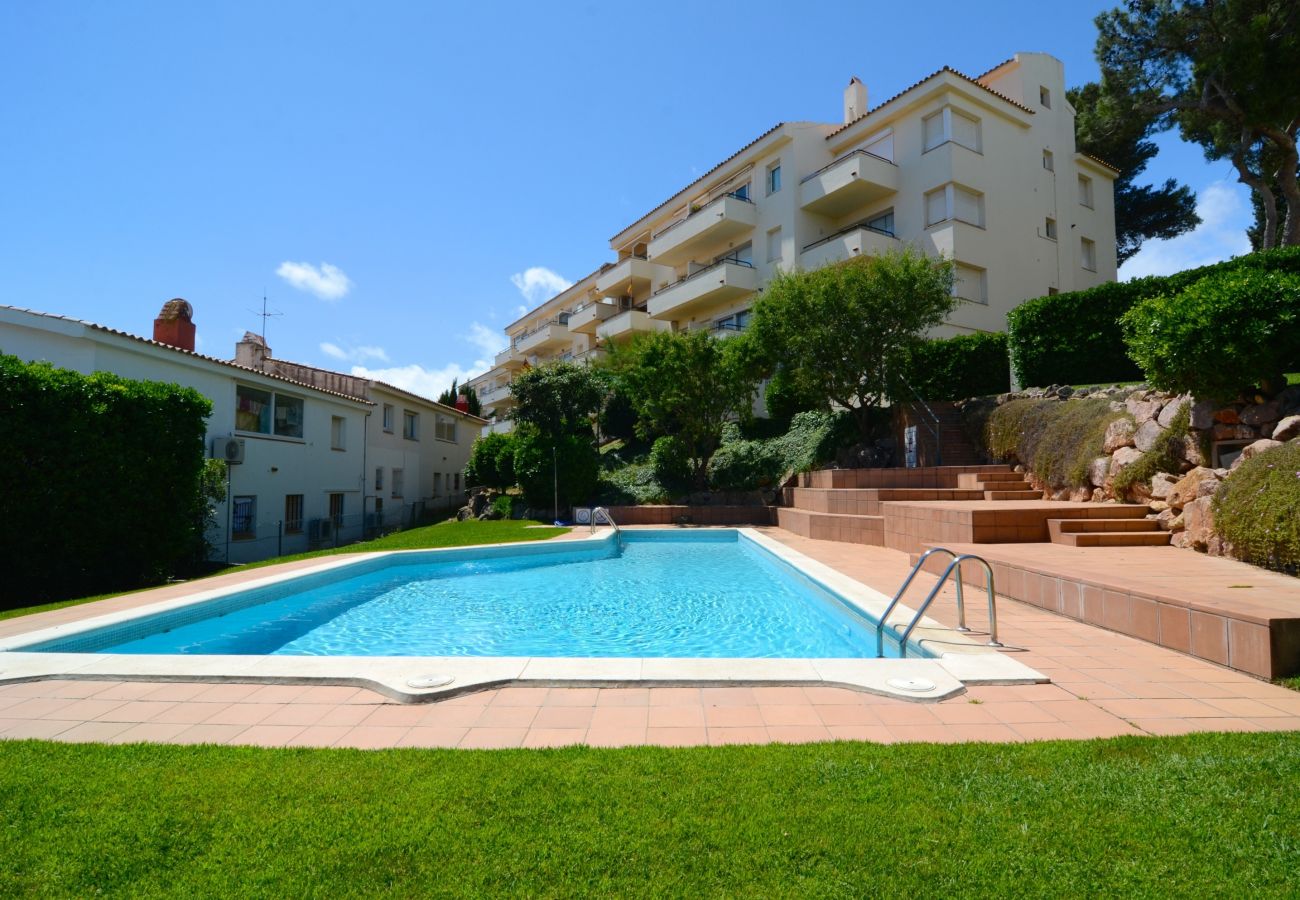 Ferienwohnung in L'Escala - PUIG PADRO  6 1-4