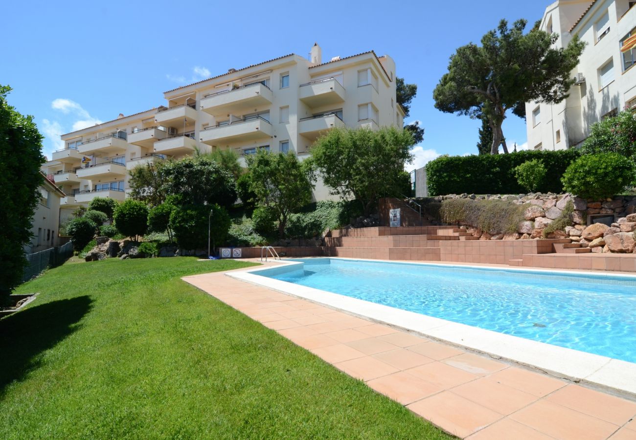 Ferienwohnung in L'Escala - PUIG PADRO  6 1-4