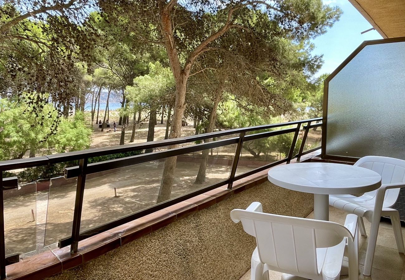 Ferienwohnung in Estartit - LA PINEDA 12