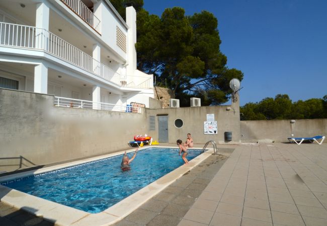 Appartement in Estartit - TREPUTXELL 2D (4/6)- 6 Appartement in Estartit - TREPUTXELL 2D (4/6)- 6