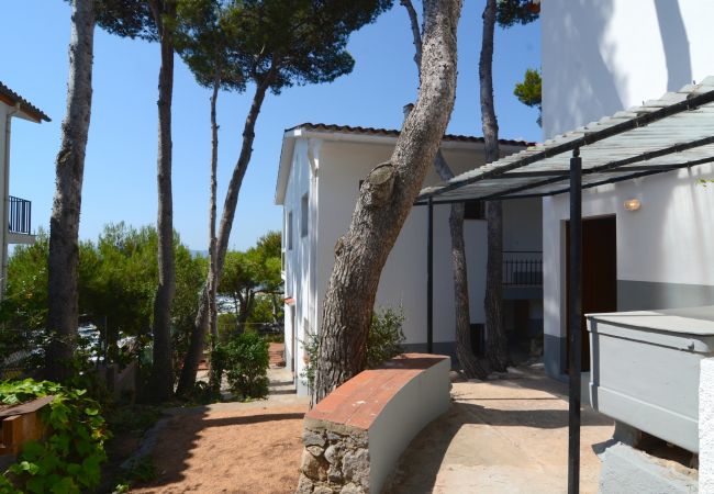 Appartement in Estartit - ILSE APARTAMENT Appartement in Estartit - ILSE APARTAMENT