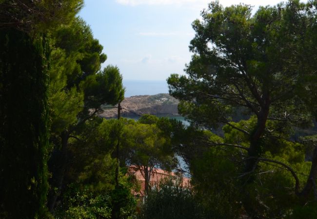 Villa in Begur - PIC DE L'OCELL Villa in Begur - PIC DE L'OCELL