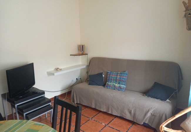 Appartement in L'Escala - PUIG SUREDA 36 2-1 Appartement in L'Escala - PUIG SUREDA 36 2-1