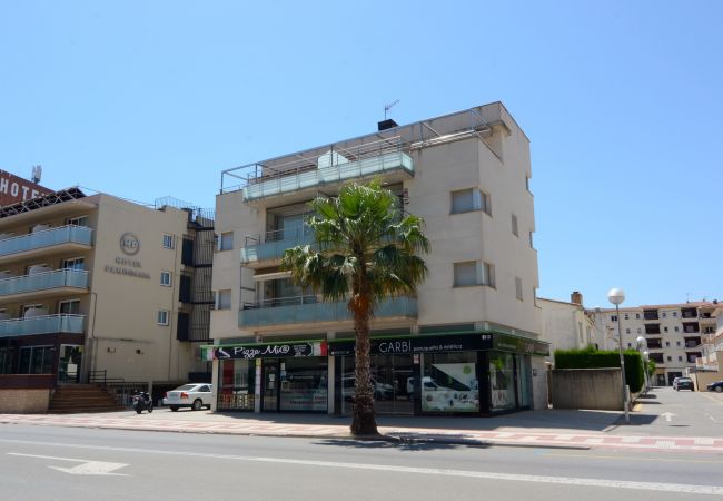 Appartement in Estartit - APARTAMENT TASCONS Appartement in Estartit - APARTAMENT TASCONS