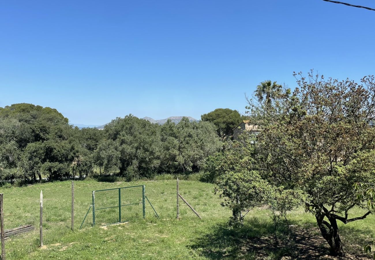Appartement in Pals - MAS PIGEM B